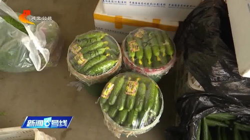 涿州农产品市场货源稳定供应充足