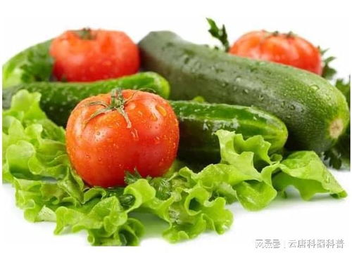 农产品农药残留检测仪器 保障食品安全的科学利器