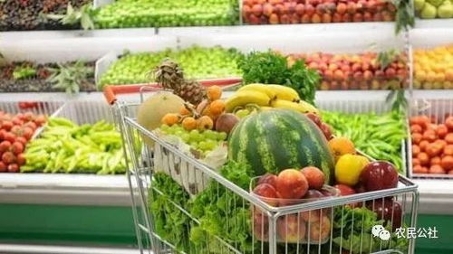 食用农产品价格持续回落，生产资料价格小幅下降