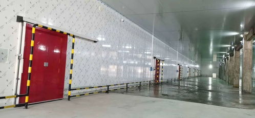 专业保鲜，智造未来——佛山食品保鲜冷库工程厂家，为食品厂与农产品提供全方位储存方案