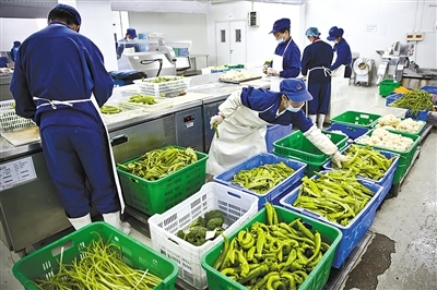 新京报 好新闻，无止境——探索中国农产品背后的故事