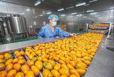 育好物、出爆款、强品牌 打造现代农业价值链的三部曲