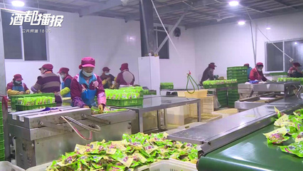 从田间到餐桌 中国农产品产销现状与发展前景