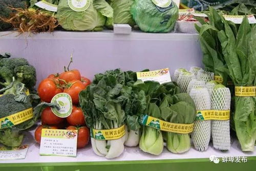 蚌埠风味，香飘全国 盘点那些让人欲罢不能的本土美食