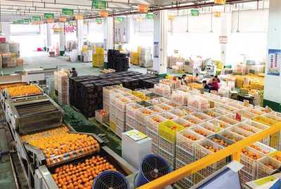 招商引资 驱动重庆从“味觉高地”迈向“产业高地”的农业引擎