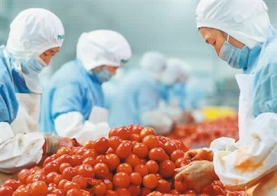 稳居第一，小小罐头闯世界 中国农产品的全球化之路