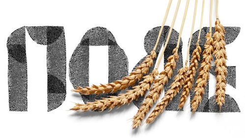 包装设计精选 zhatva农产品包装设计如何赋能品牌与市场