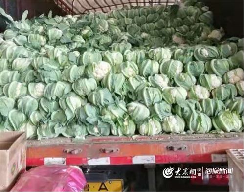 防疫情 保供应 匡山农产品综合交易市场为市民托稳“菜篮子”农产品