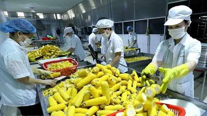 越南充分开发向澳大利亚出口农产品的潜力