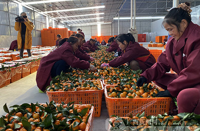 2019河池农产品产销对接活动签约金额达7800万元，农产品产销迈上新台阶