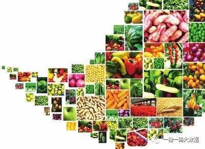 绿色农产品的溯源之路 从田间到餐桌的全程可追溯